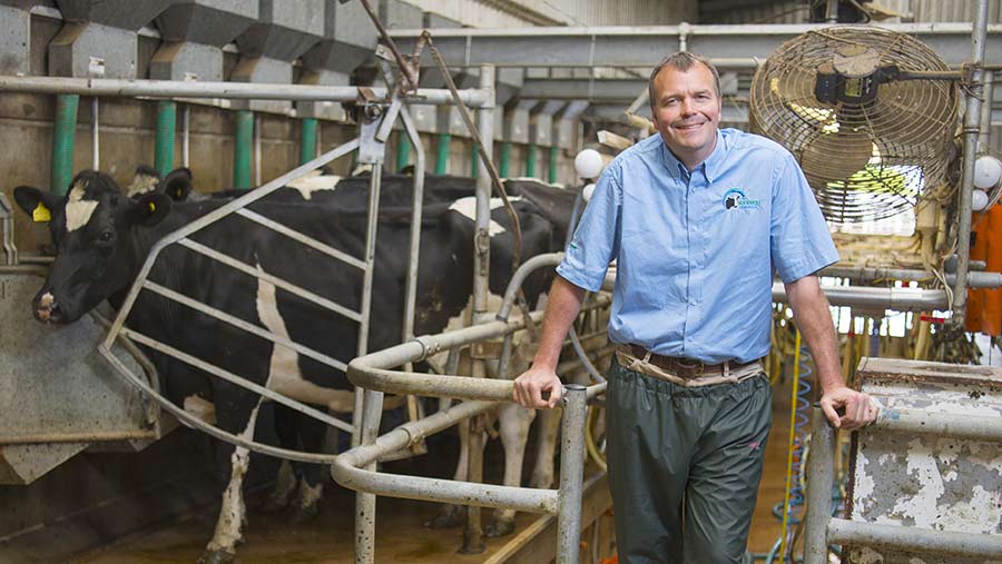 6 ways to prevent stale dairy cows - Farmers Weekly