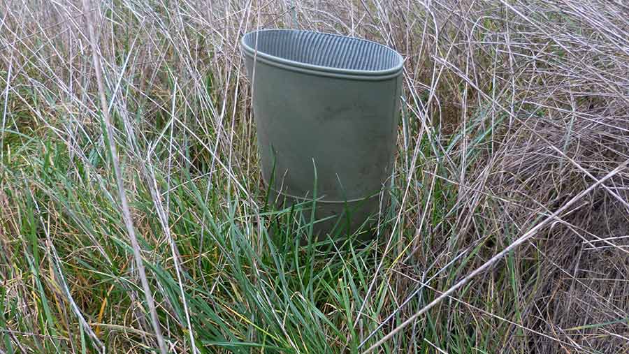 An empty welly shows the depth of grass in a field