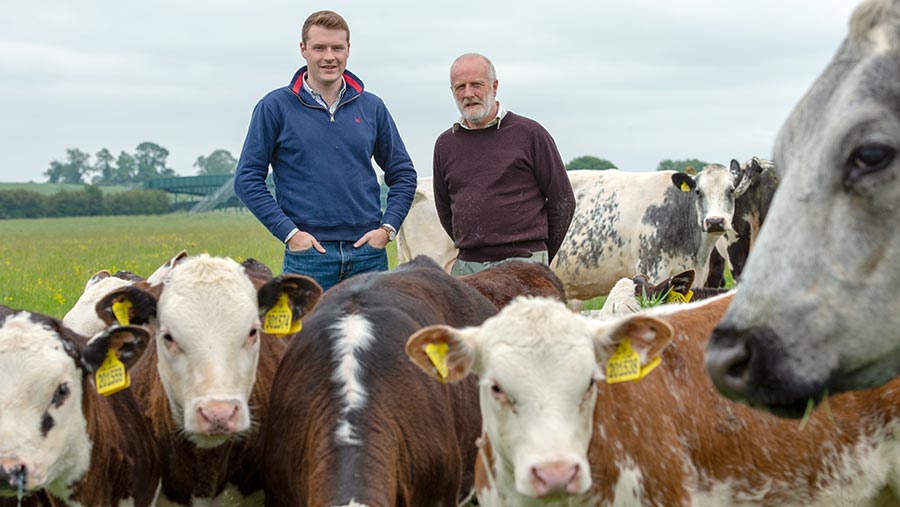 Matt Rollason and Mark Spendlove with Hereford cows