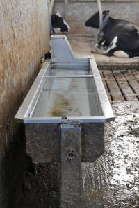 Tipping water trough