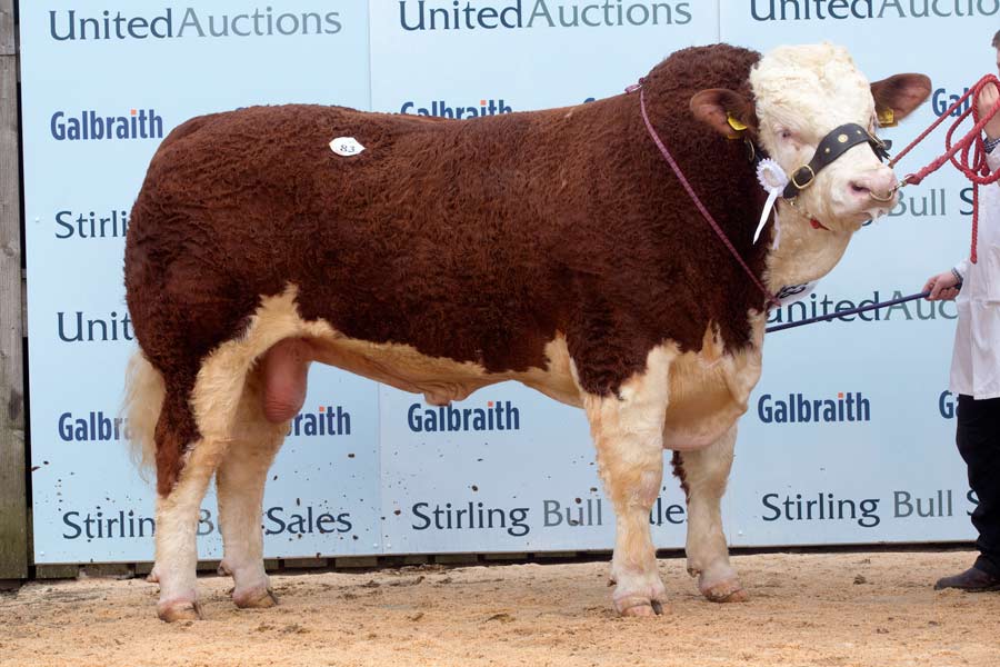 Islavale Invincible