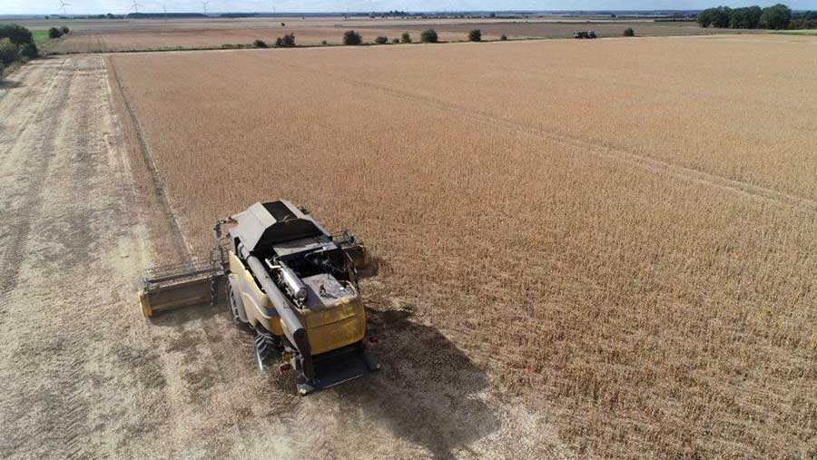 Andrew Branton says combining soya is like "shaving the soil"