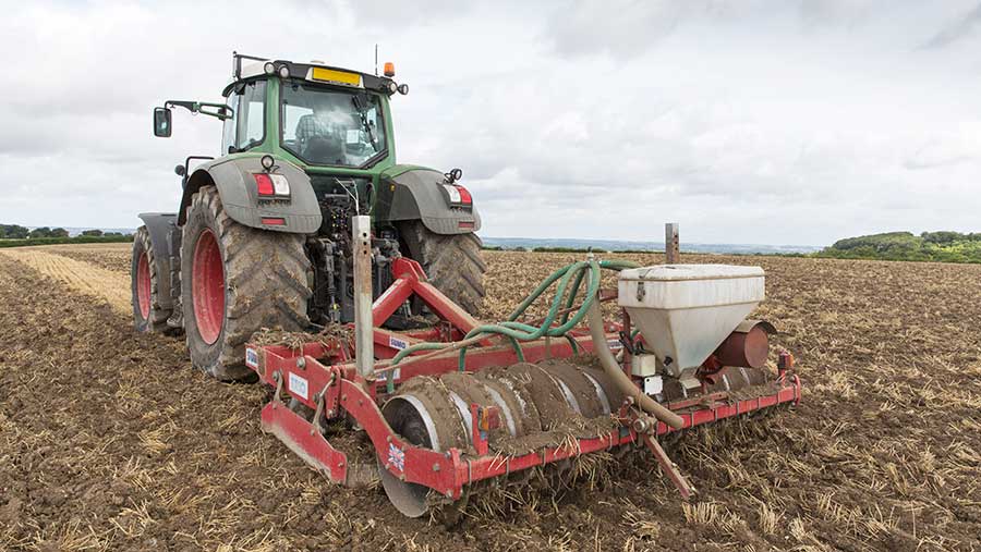 Cultivating barley