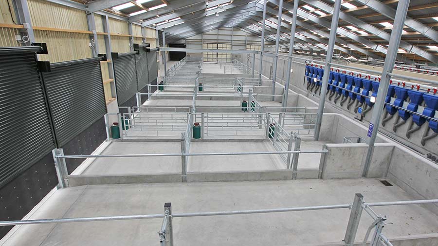 The new maternity wing at the Cafre dairy unit