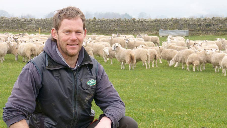 Farmer Paul Renison with flock of sheep