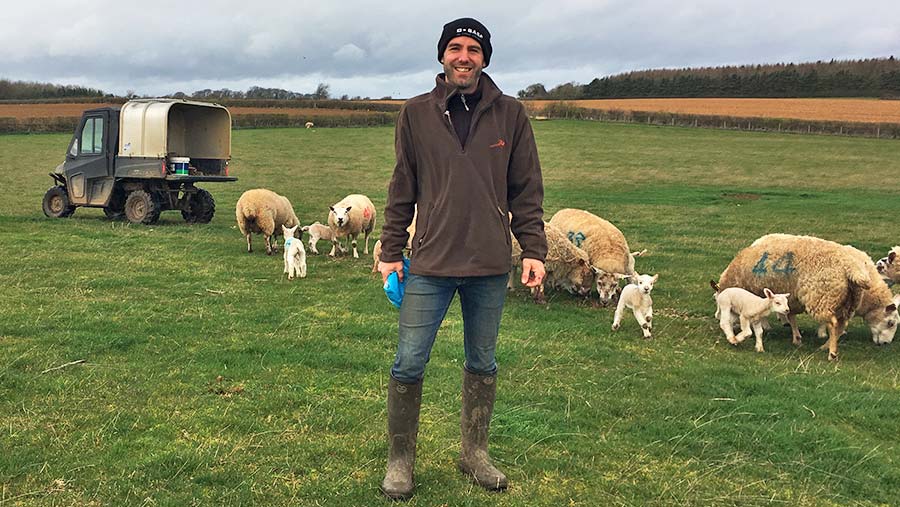 Adam Madge in field of sheep © Oli Hill/RBI