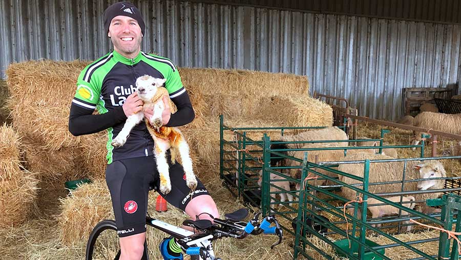 Adam Madge in lambing shed © Oli Hill/RBI