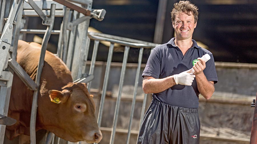 Oliver Hodgkinson with a cow