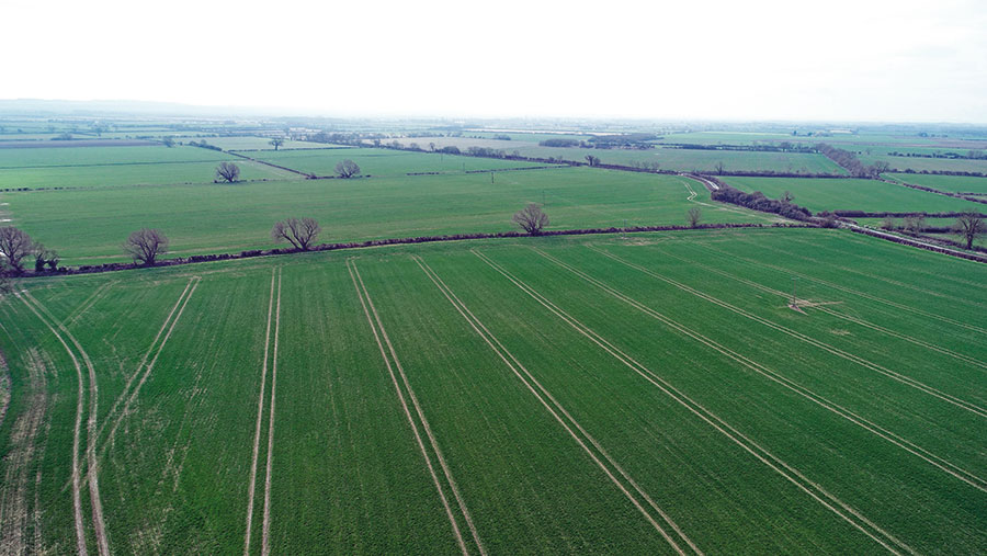 Trafford Farm land © Lincolnshire Agricultural Society