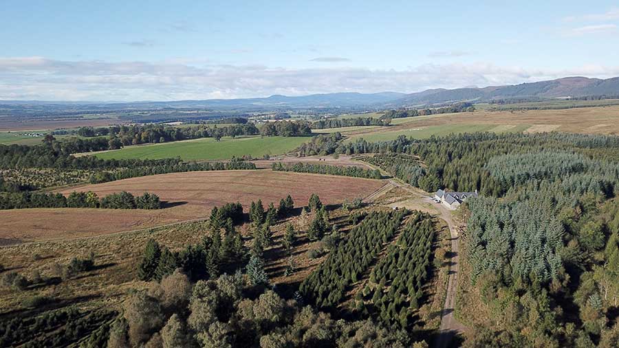 Aerial view of wooded estate