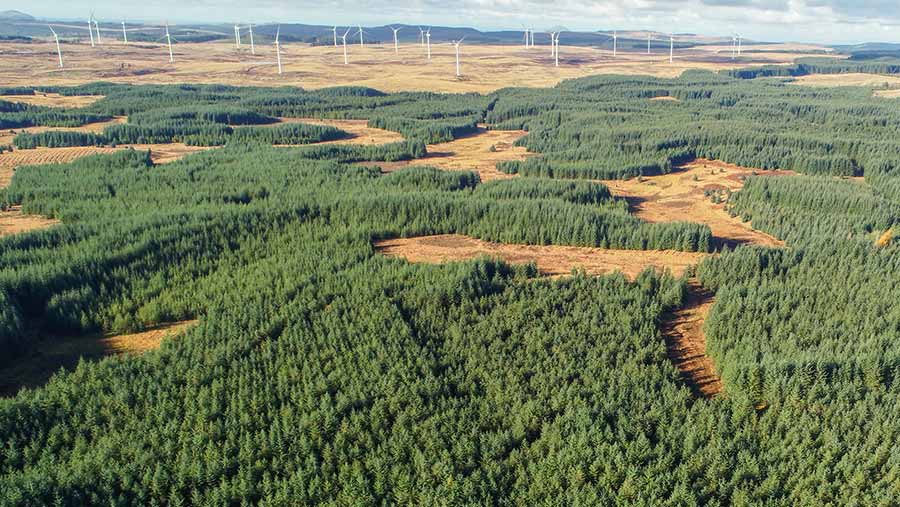 Aerial view of estate with dozens of wind turbines