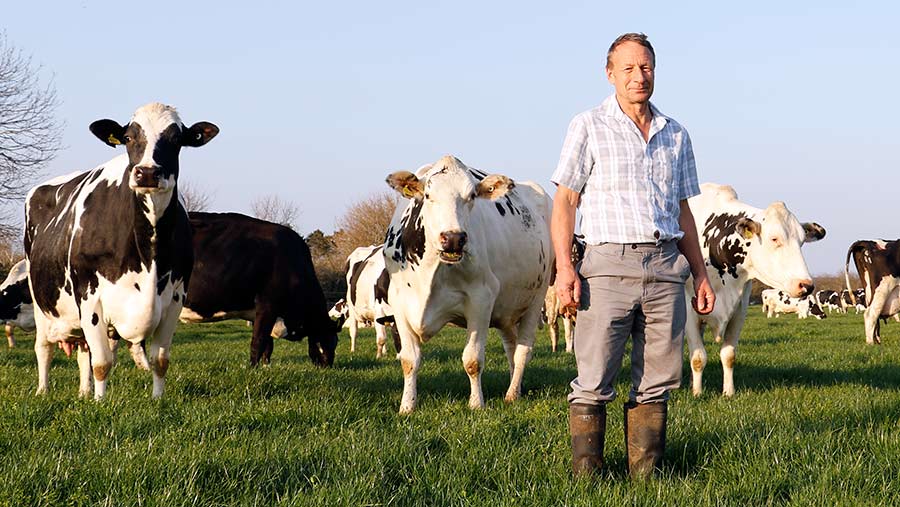 Rob Mallett with cows
