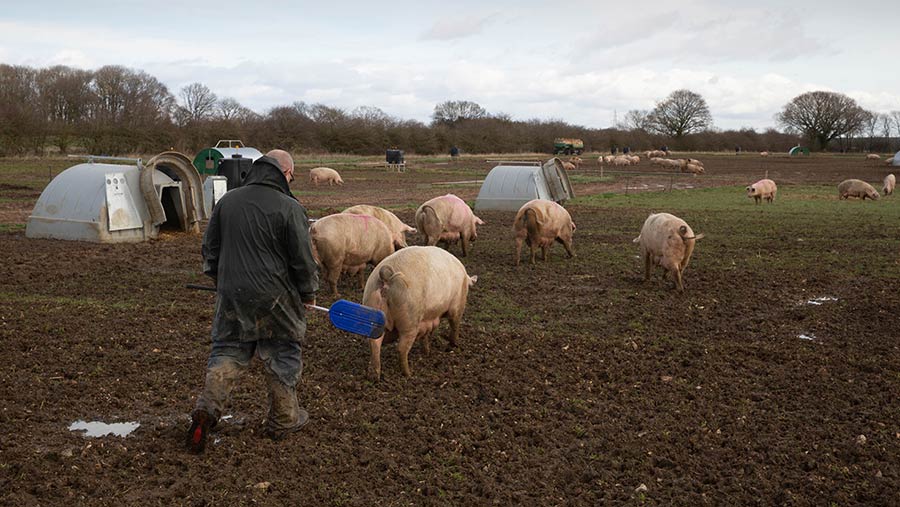 Opinion Farmers are not the only ones living with stress Farmers Weekly