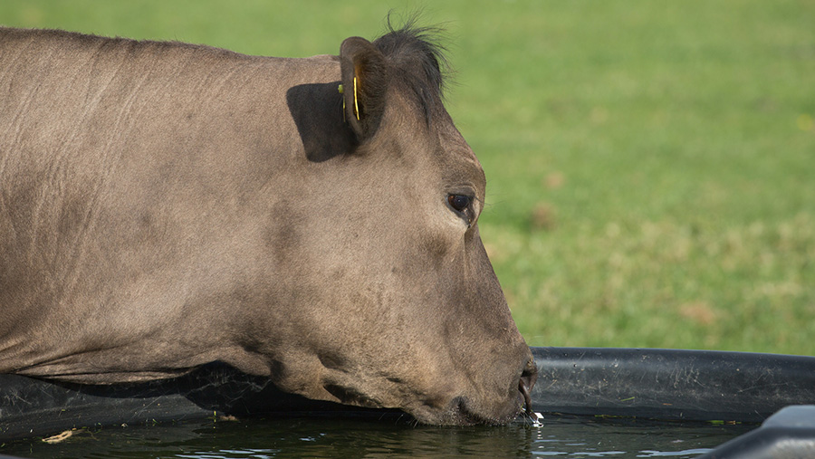 Water bosses apologise for 'meat free' tweet gaffe - Farmers Weekly