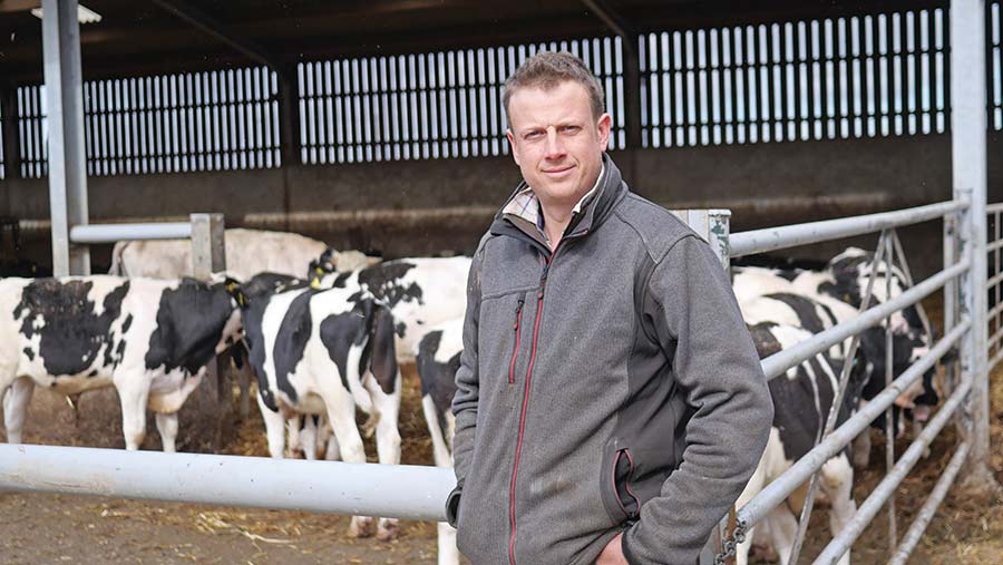 Charlie Beslee with his veal calves