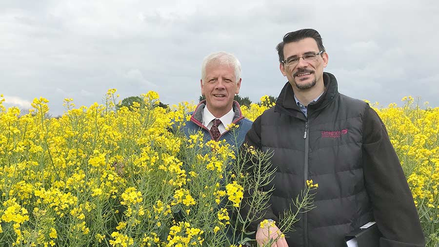 David Leaper (left) and Vasilis Gegas in a crop of Ambassador OSR