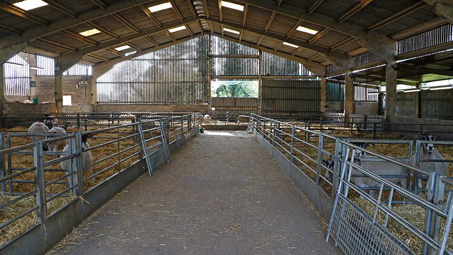 Sheep shed at Church Farm