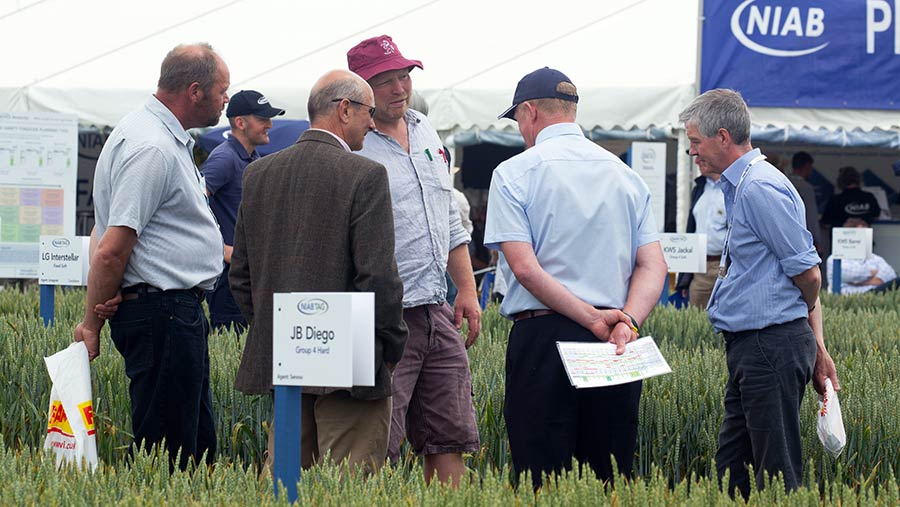 Visitors look at crop plot at Cereals 2018