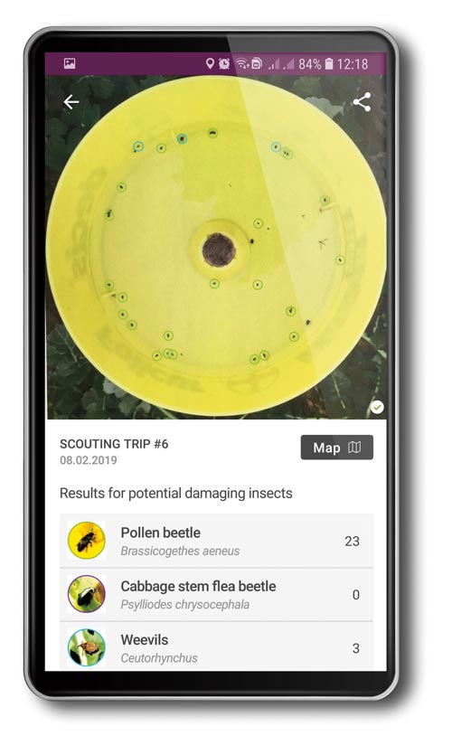 Yellow trap analysis tool on smartphone