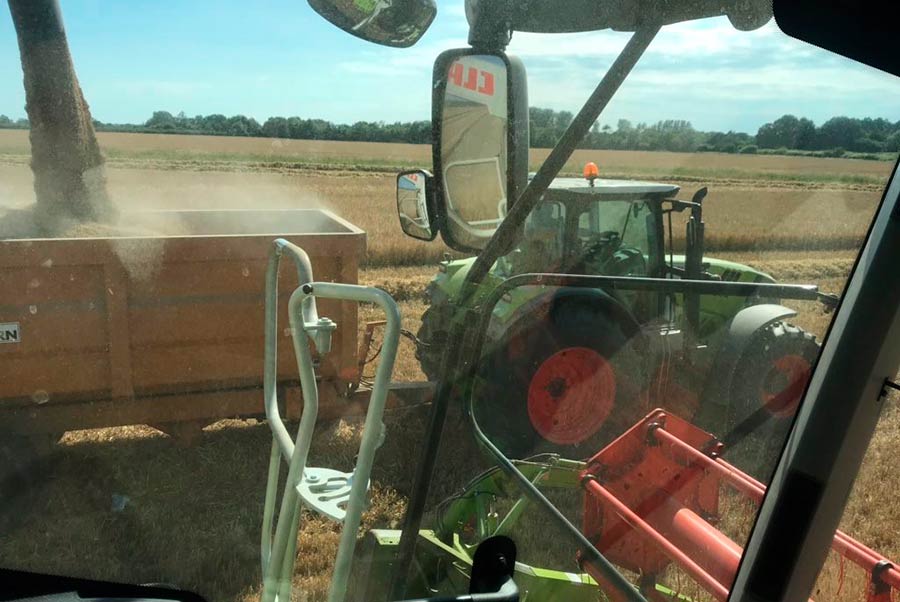 Tractor and trailer taking a load of barley from a combine