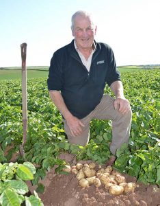 Stephen Ford kneeling in a potato crop