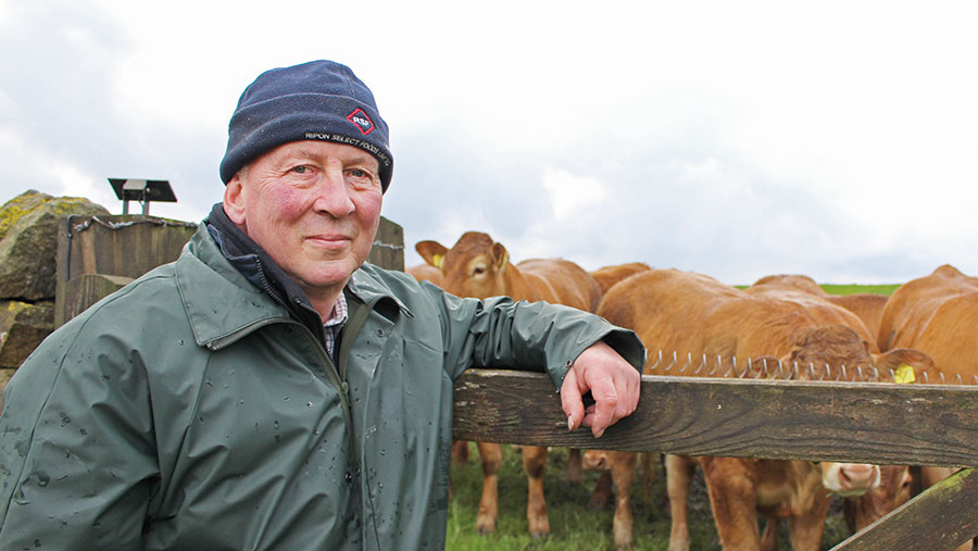 Yorkshir Limousin breeder James Cooper