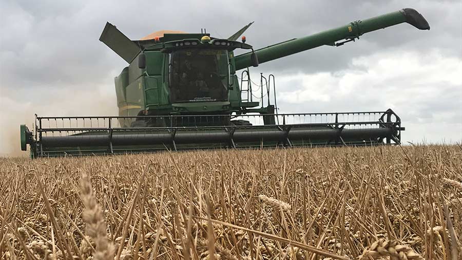 Combine moving towards camera in a wheat field