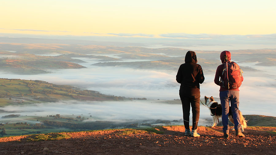 Woman and dog on mountain top