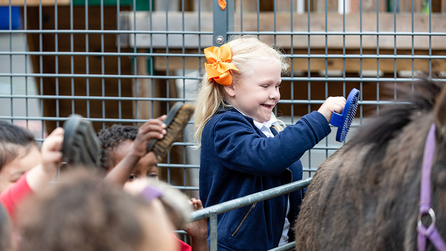 Child brushing horse