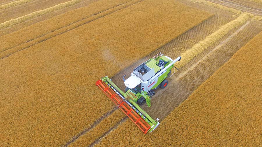 Aerial view of a combine at work