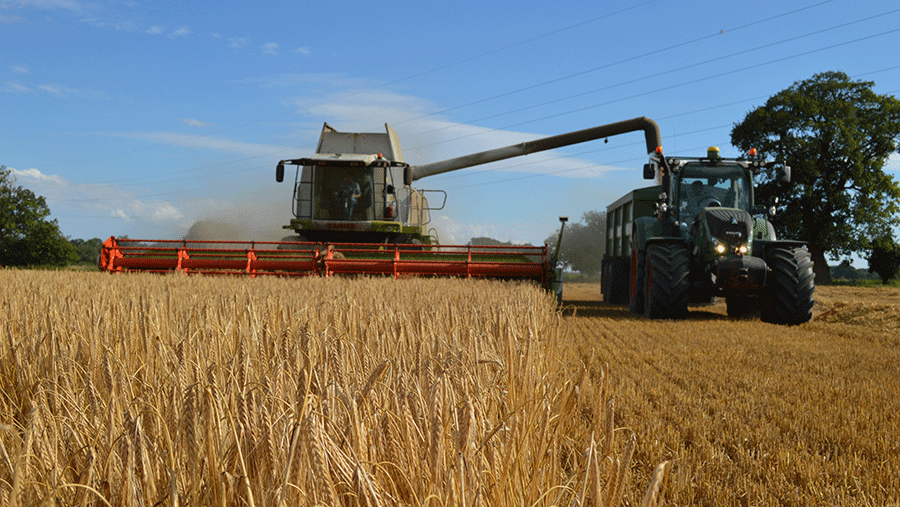 Euston Estate – winter barley harvest