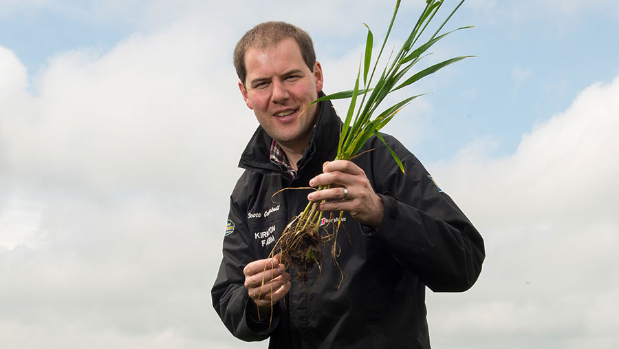 Scott Campbell  holding wheat plant