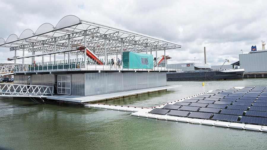 the floating farm in Holland © Hollandse Hoogte/Shutterstock