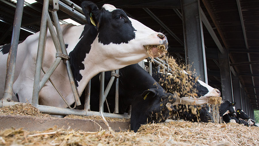 UK Dairy Day: Fix variable costs now, dairy farmers advise