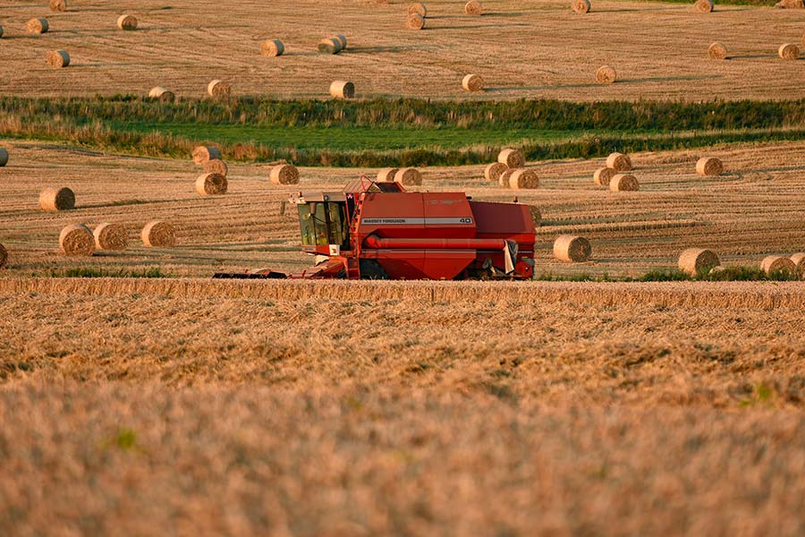 Combine with round bales by Mark Dall