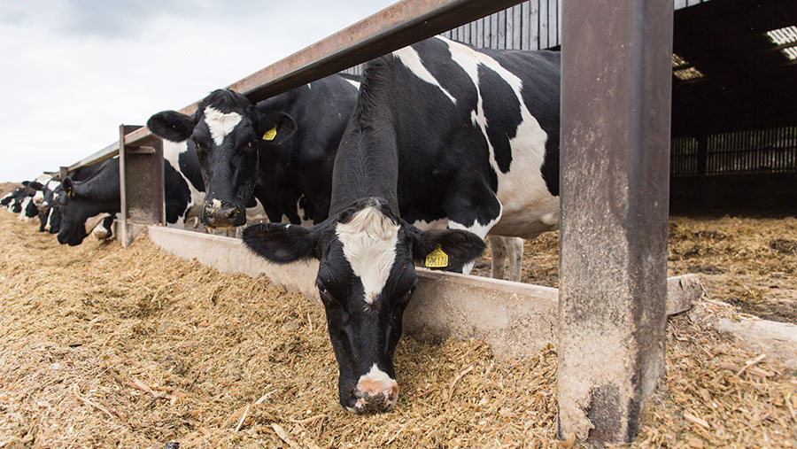 Eight ways to lift dairy feed efficiency - Farmers Weekly