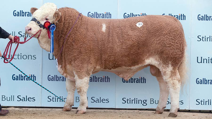 Islavale Jackpot: 15,000gns