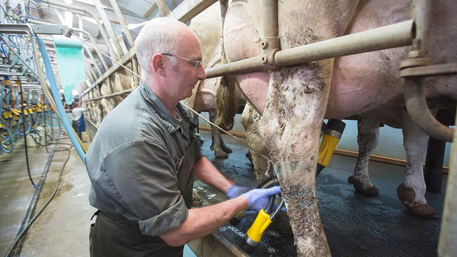 What To Consider When Switching To Three Times A Day Milking Farmers