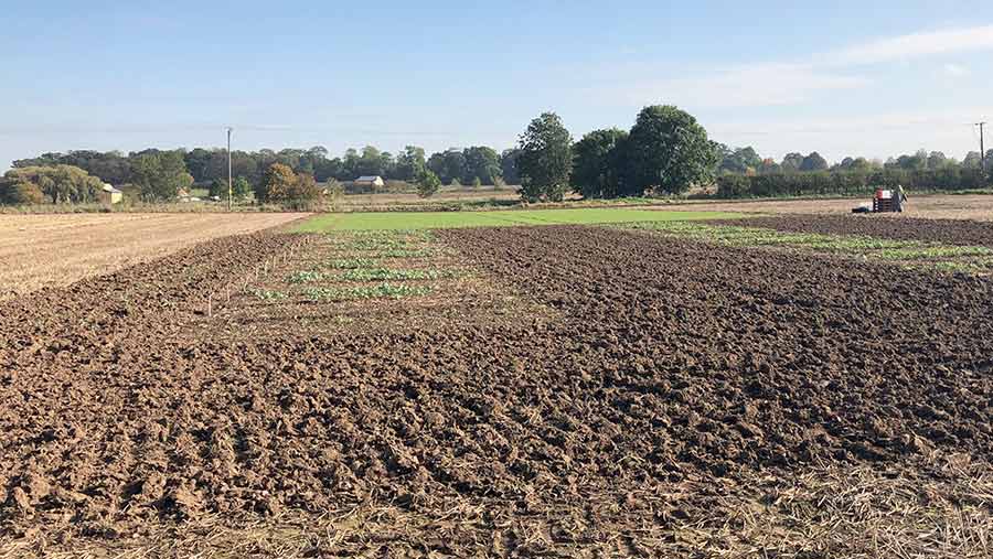 Crop plots