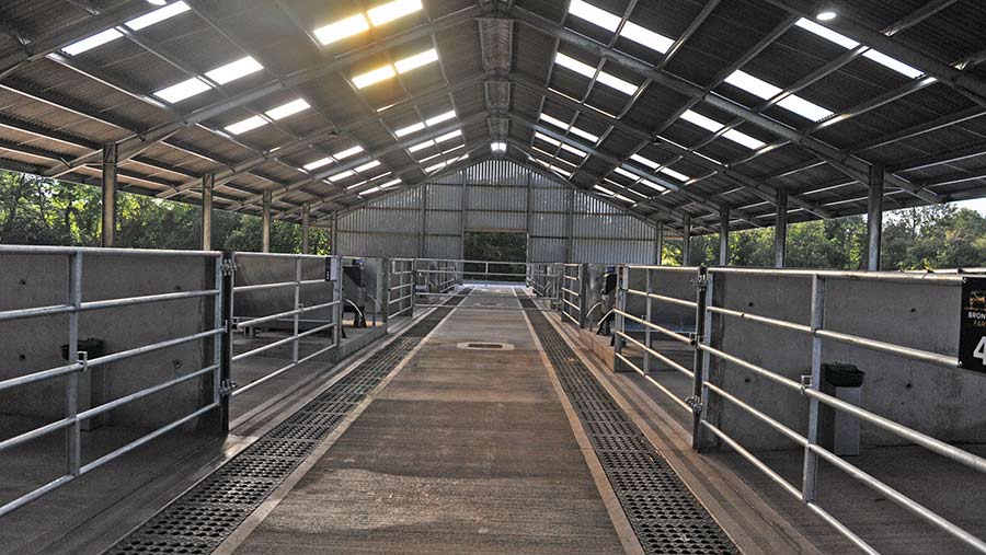 Inside of calf rearing shed