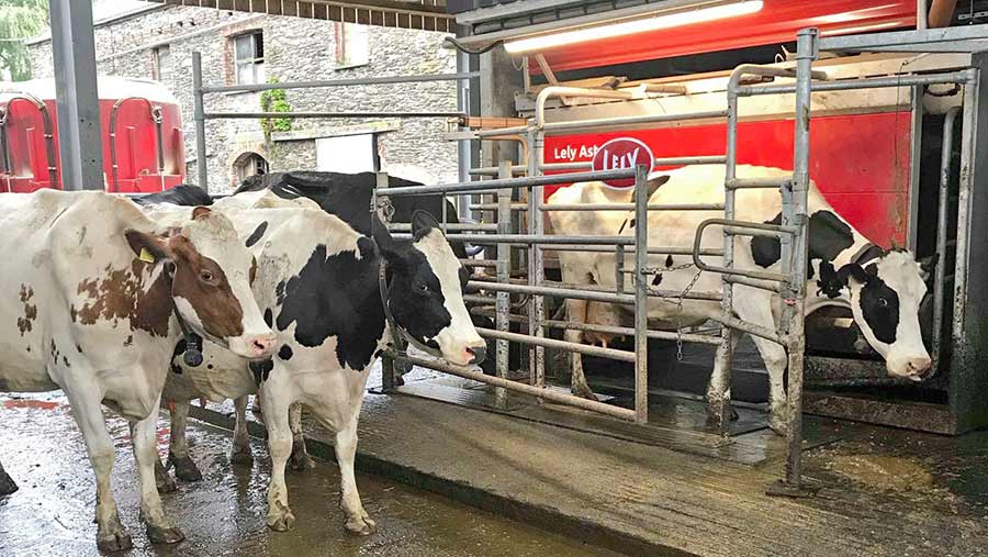 Which milking parlour is best for your dairy? - Farmers Weekly
