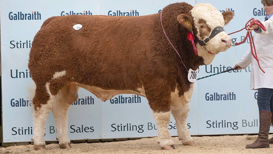 Islavale Jericho: 14,000gns