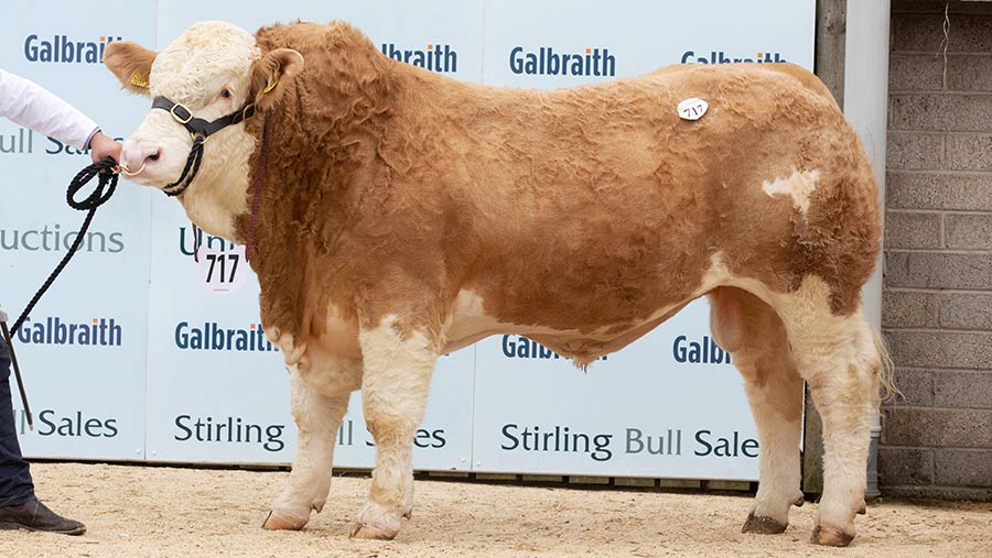 Team Jackpot: 14,000gns