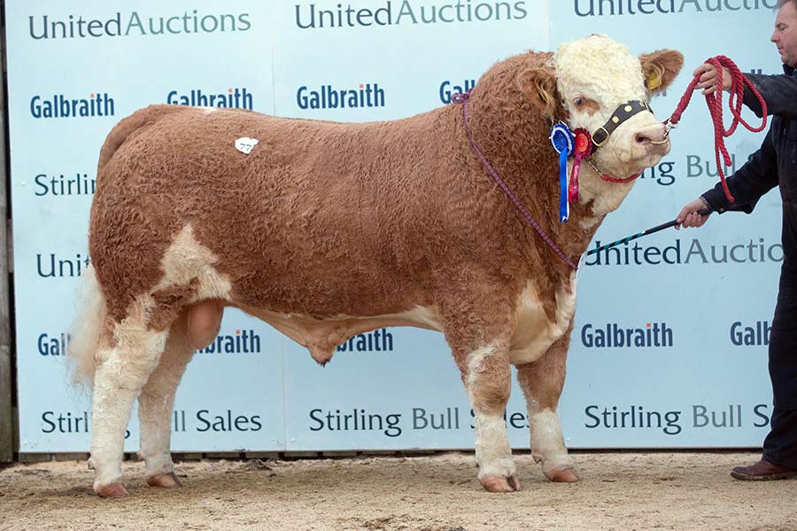 Islavale Jacob: 12,000gns