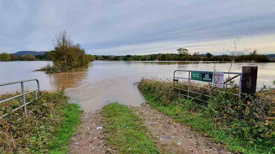 Flooded field