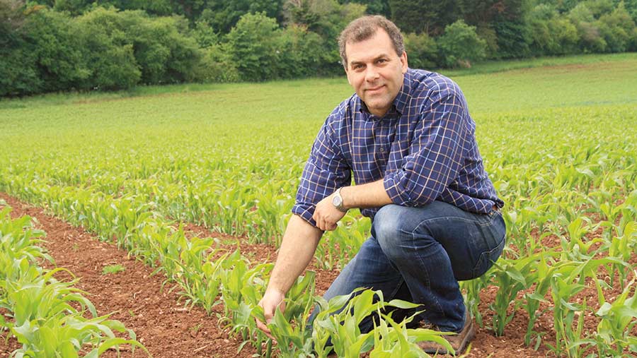 Alistair House kneeling in a field