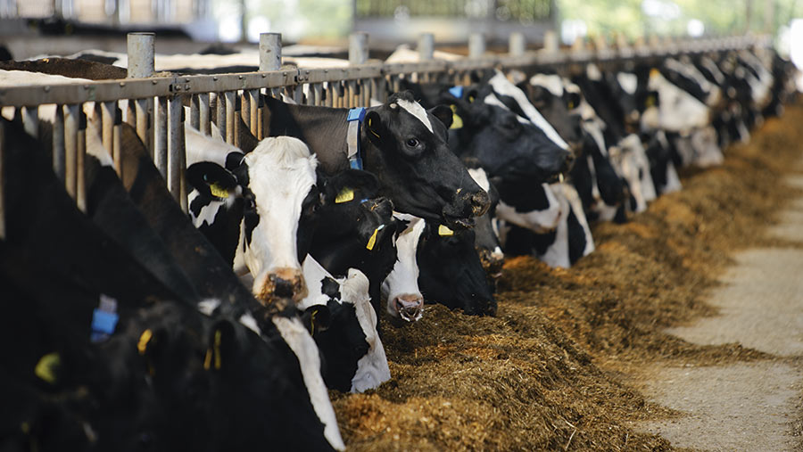 Tips on reducing feed waste on your dairy - Farmers Weekly