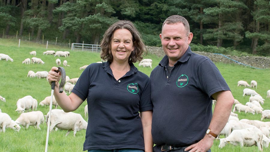 Charley and Andrea Walker  in a field with sheep