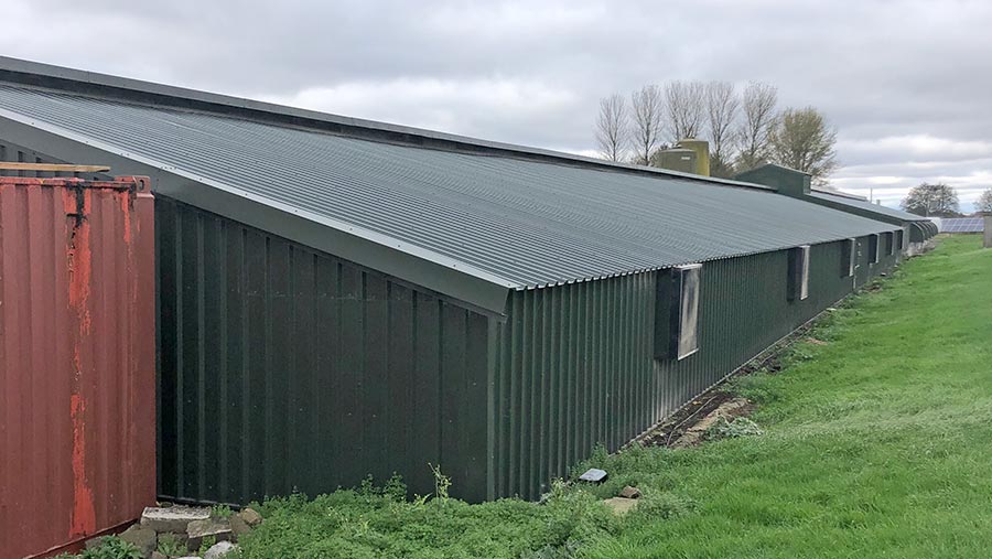 Poultry shed after refurbishment