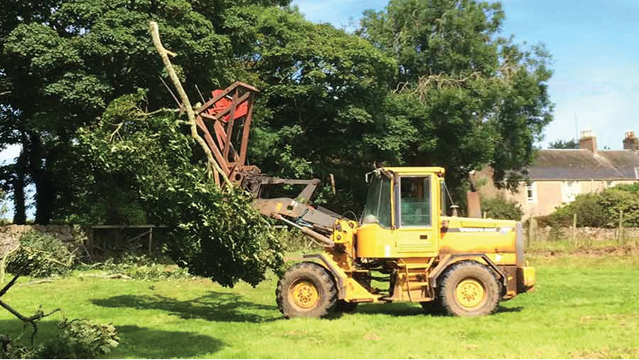 Branch lopper cutting branches